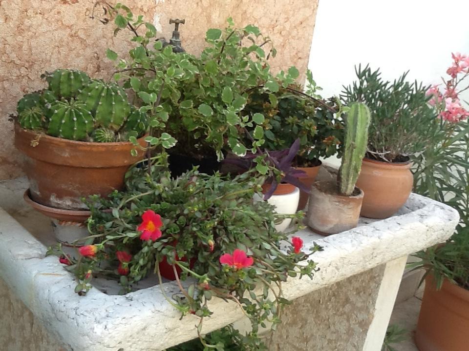 B&B Al Giardinetto Verona Bagian luar foto