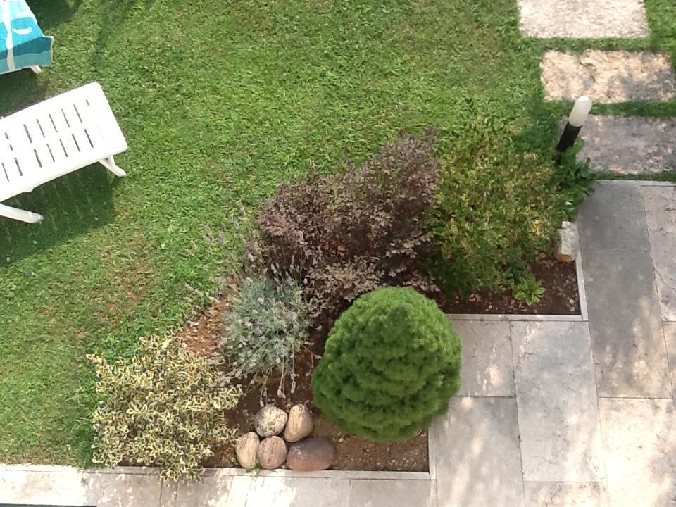 B&B Al Giardinetto Verona Bagian luar foto